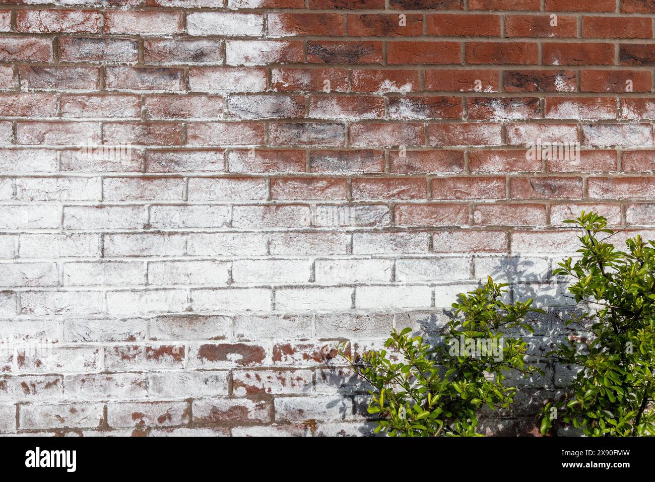 Ausblühungssalze aus neuem Ziegelmörtel, Llanfoist, Wales, Vereinigtes Königreich Stockfoto