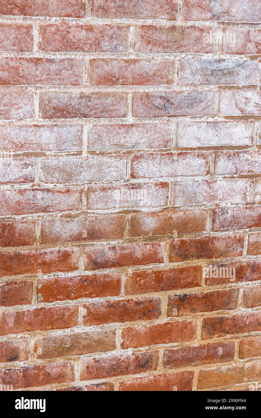 Ausblühungssalze aus neuem Ziegelmörtel, Llanfoist, Wales, Vereinigtes Königreich Stockfoto