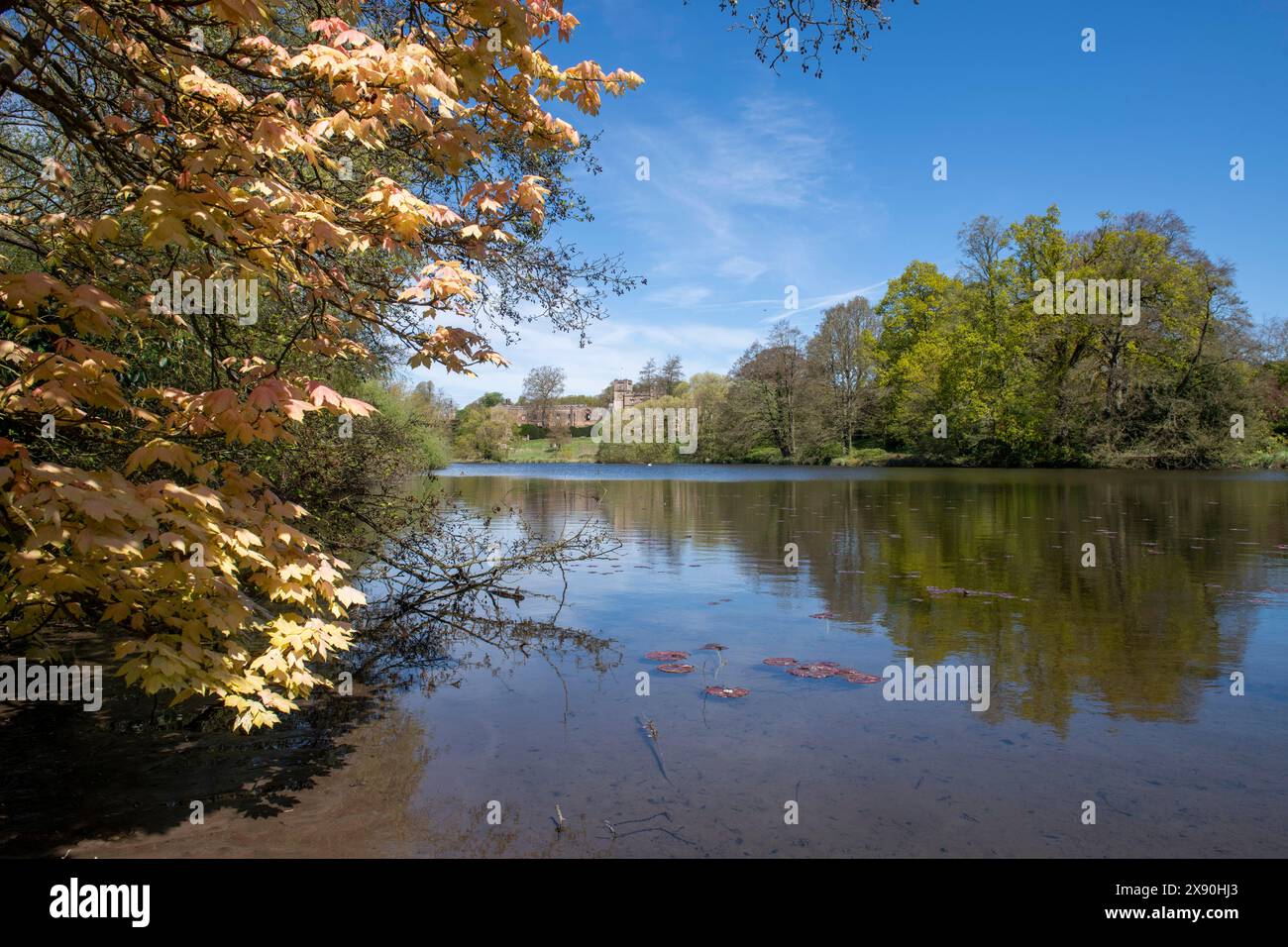 Ein Frühlingstag am Garden Lake in Newstead Abbey, Nottinghamshire England, Großbritannien Stockfoto