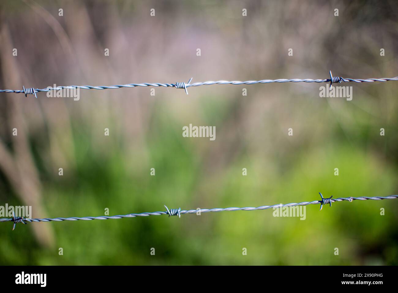 Nahaufnahme eines Stacheldrahtzauns mit verschwommenem grünem Hintergrund, aufgenommen in Spanien mit selektivem Fokus und Bokeh-Effekt. Stockfoto