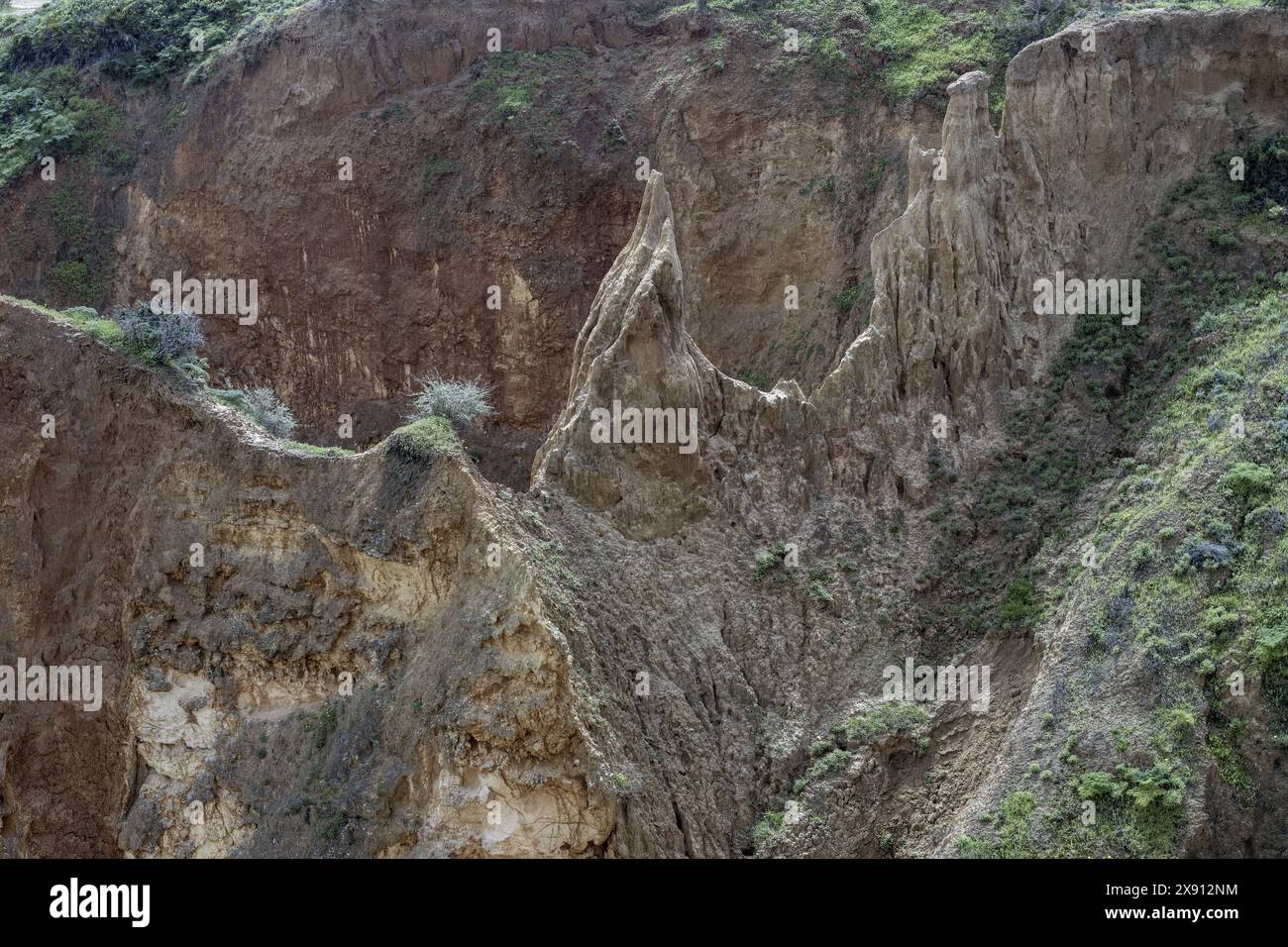 Blick auf eine erodierte Klippe, umgeben von üppig grünen Wäldern in der Nähe von Portimao, Portugal. Die dramatischen geologischen Merkmale stehen im Kontrast zu den dichten Vegetaten Stockfoto