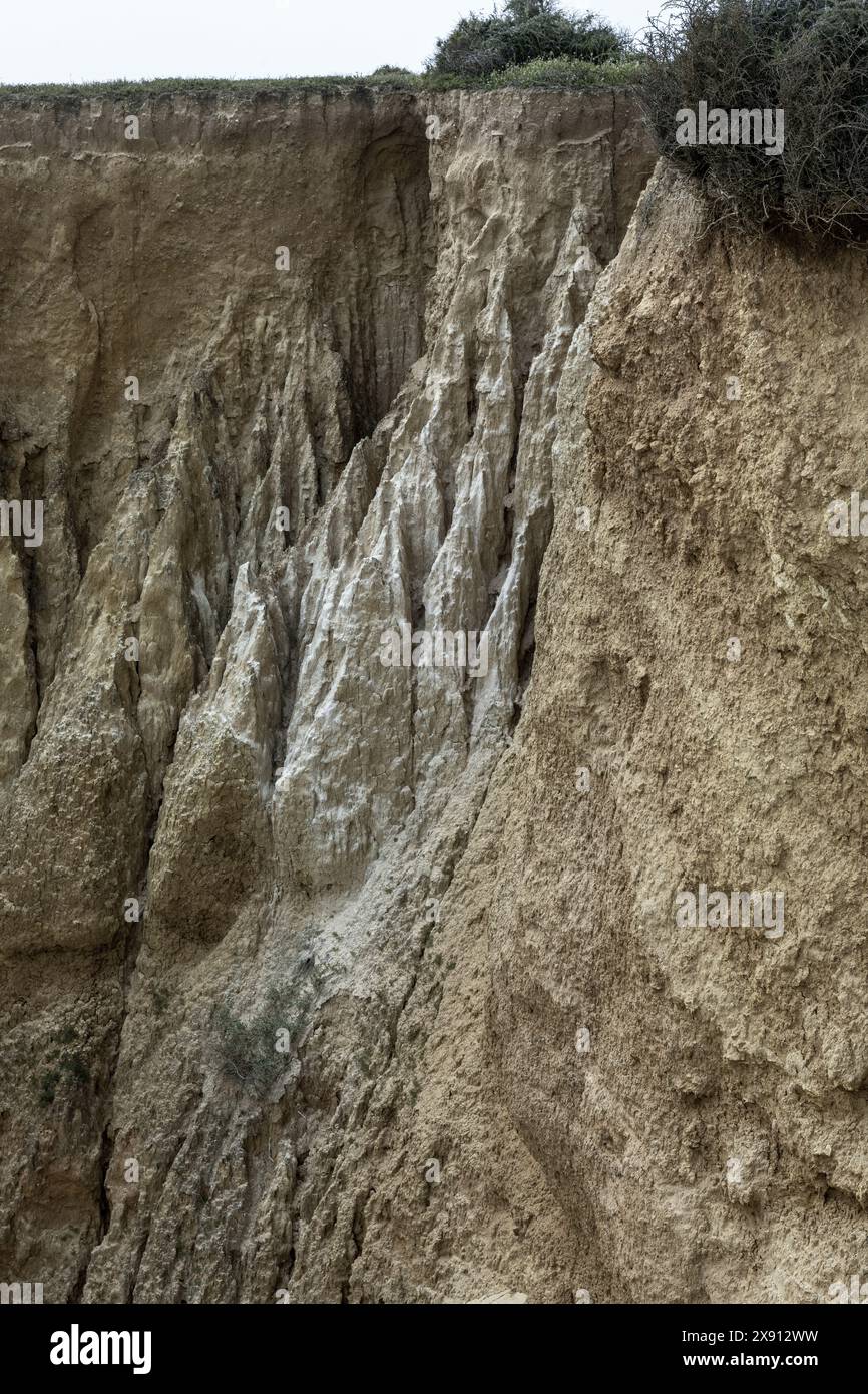 Blick auf eine erodierte Klippe, umgeben von üppig grünen Wäldern in der Nähe von Portimao, Portugal. Die dramatischen geologischen Merkmale stehen im Kontrast zu den dichten Vegetaten Stockfoto