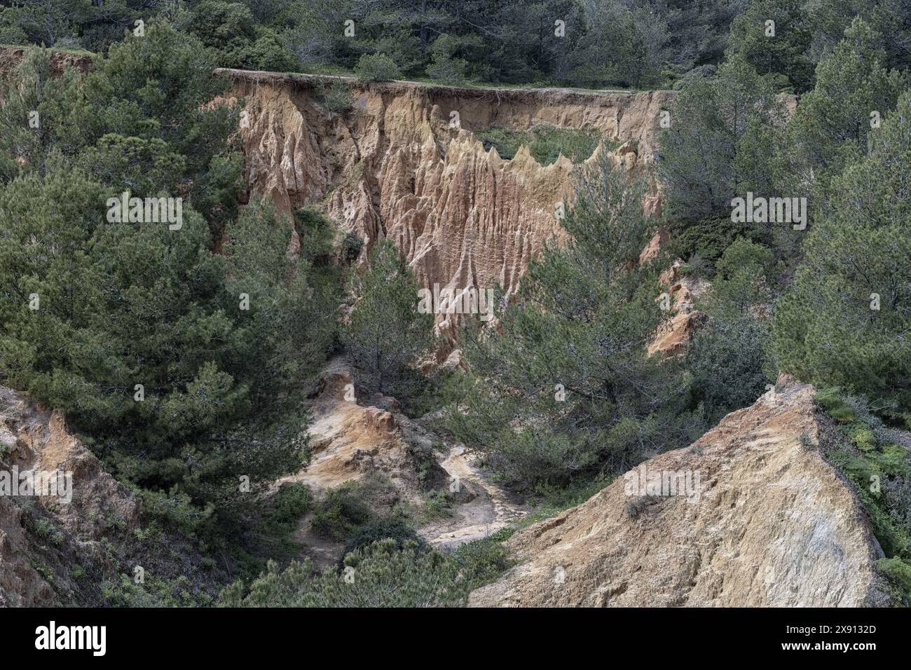 Blick auf eine erodierte Klippe, umgeben von üppig grünen Wäldern in der Nähe von Portimao, Portugal. Die dramatischen geologischen Merkmale stehen im Kontrast zu den dichten Vegetaten Stockfoto