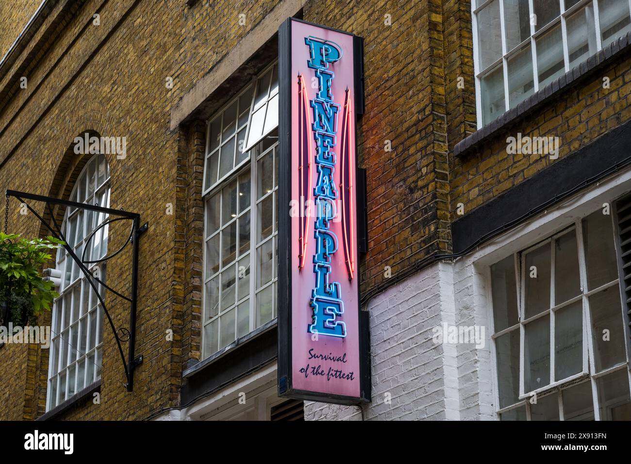 Pineapple Dance Studios, Covent Garden, London, England, Großbritannien GB Stockfoto