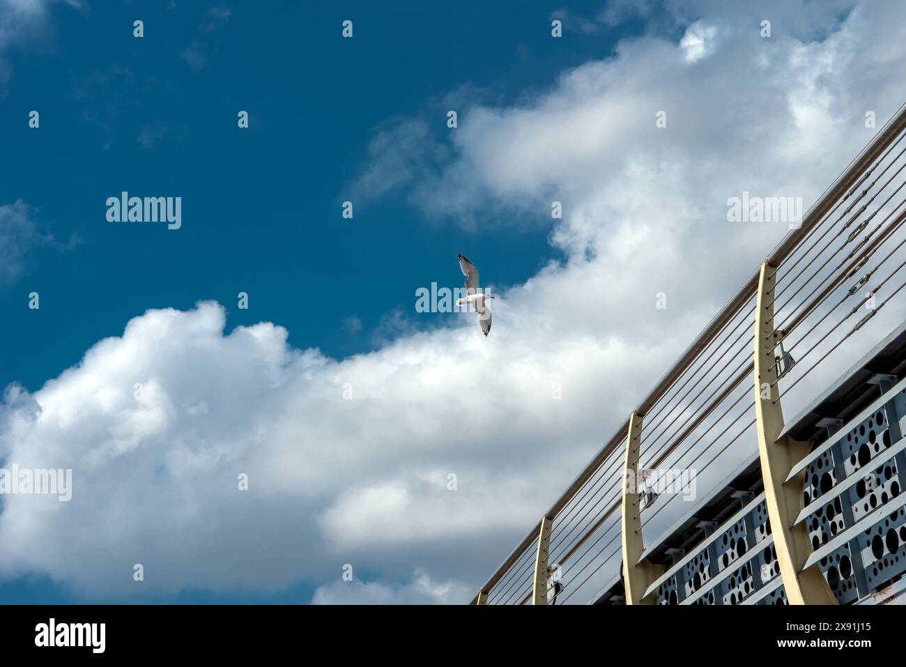 Halic u-Brücke und auf die Suleymaniye Moschee, Istanbul anzeigen Stockfoto