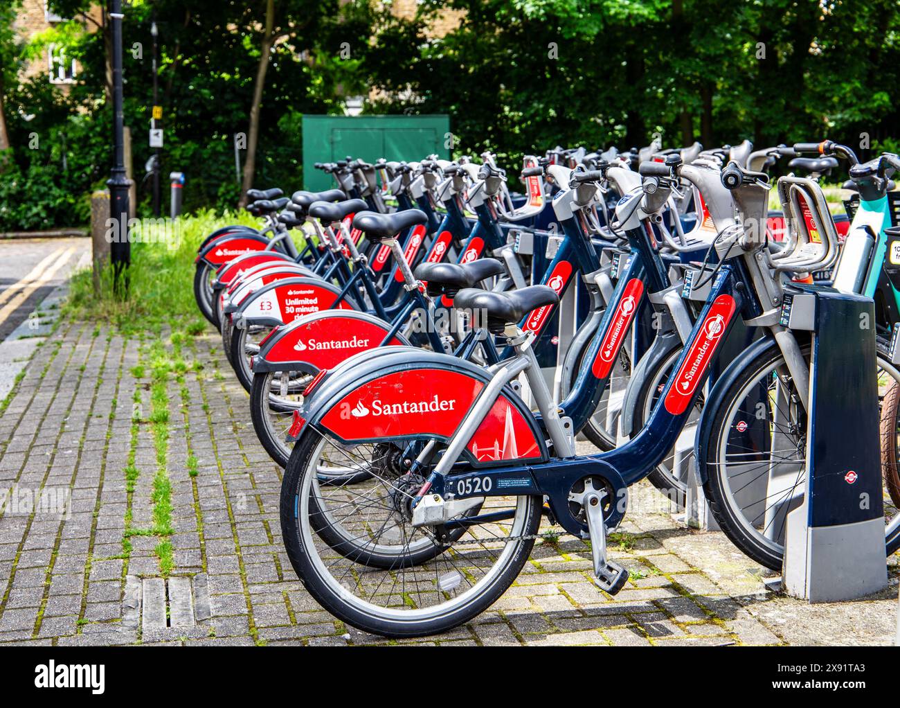 Eine Reihe von Santander-Leihfahrrädern, die in einer grünen Straße in einer Dockingstation geparkt sind. Stockfoto