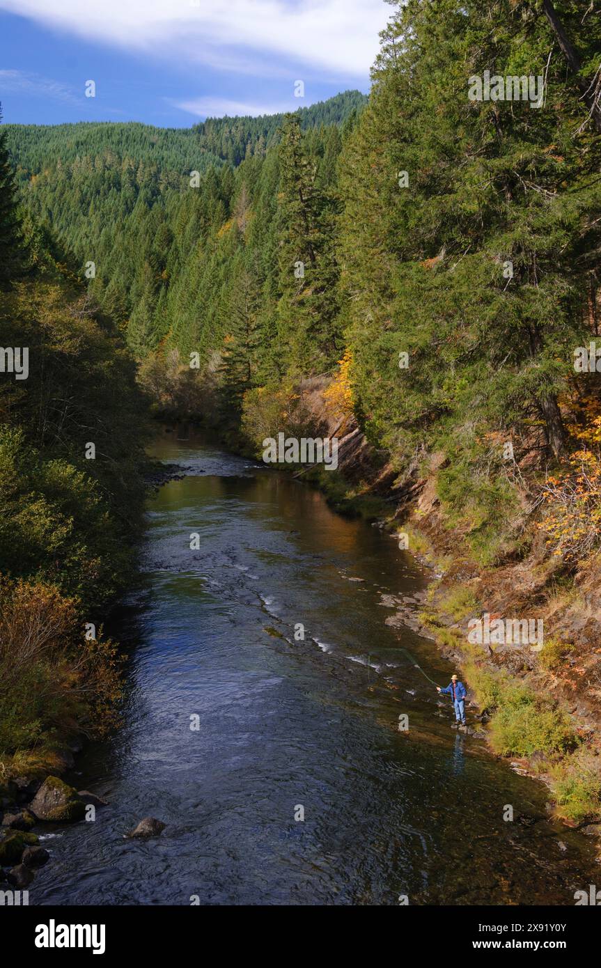 Fliegenfischer auf dem North Fork des Middle Fork des Willamette River; Cascade Mountains, Aufderheide Memorial Drive, Willamette National Forest, Stockfoto