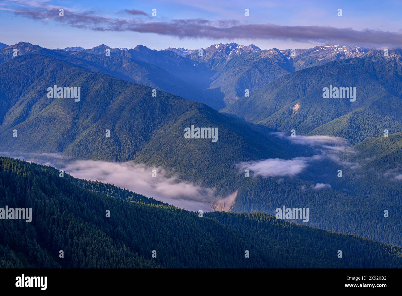 Bailey Range Mountains und Elwha River Drainage vom Hurricane Hill Trail im Olympic Natioanl Park, Washington, USA. Olympic National Park Washington Stockfoto
