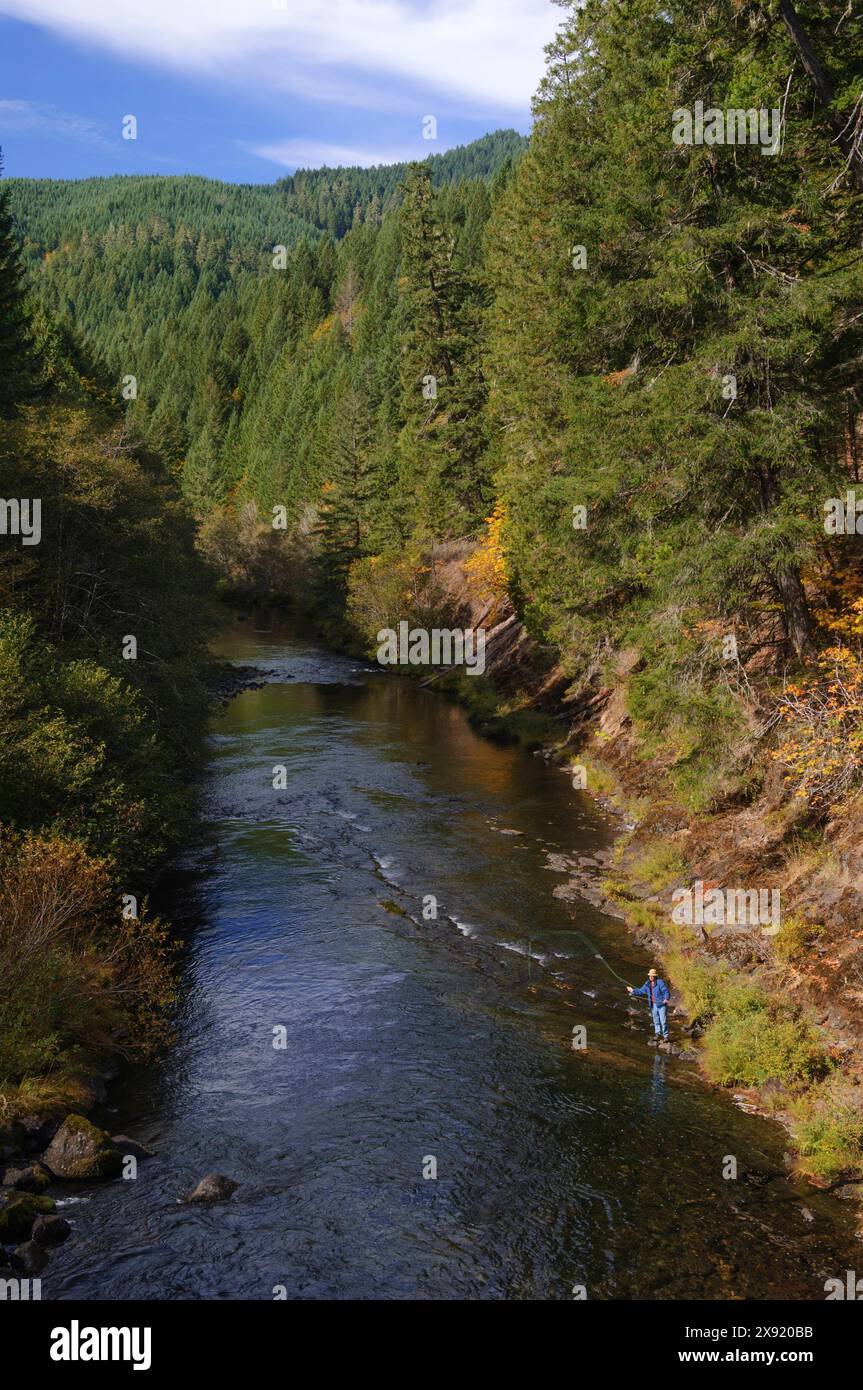 Fliegenfischer auf dem North Fork des Middle Fork der Willamette River Cascade Mountains, Aufderheide Memorial Drive, Willamette National Forest, Stockfoto