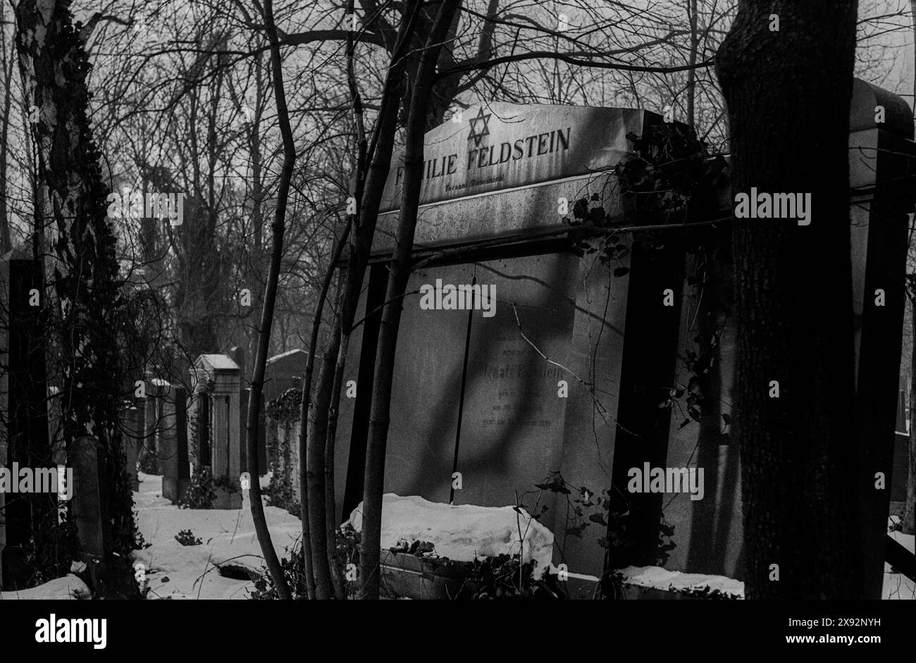 Jüdischer Friedhof Berlin-Weißensee DDR, Berlin, 03.02.1987, Jüdischer Friedhof Weißensee, im Winter, Grabanlage, Familie Feldstein, Â *** Jüdischer Friedhof Berlin Weißensee DDR, Berlin, 03 02 1987, Jüdischer Friedhof Weißensee, im Winter, Grave, Familie Feldstein, Â Stockfoto