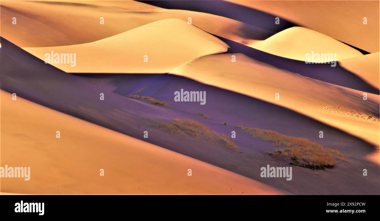 Goldene Sanddünen im Great Sand Dunes National Park, Colorado Stockfoto