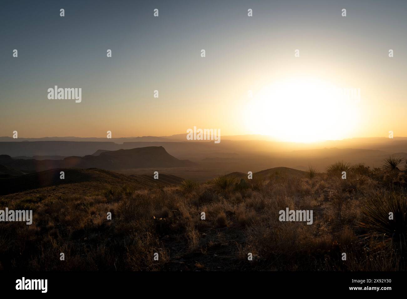 Sonnenuntergang über der Chihuahuan Wüste im Big Bend Nationalpark Stockfoto