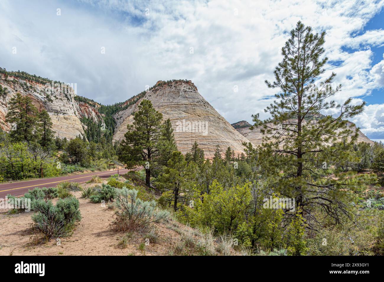Muster der Erosion auf den Felsformationen im Gebiet von Checkerboard Mesa im Zion National Park, Utah Stockfoto