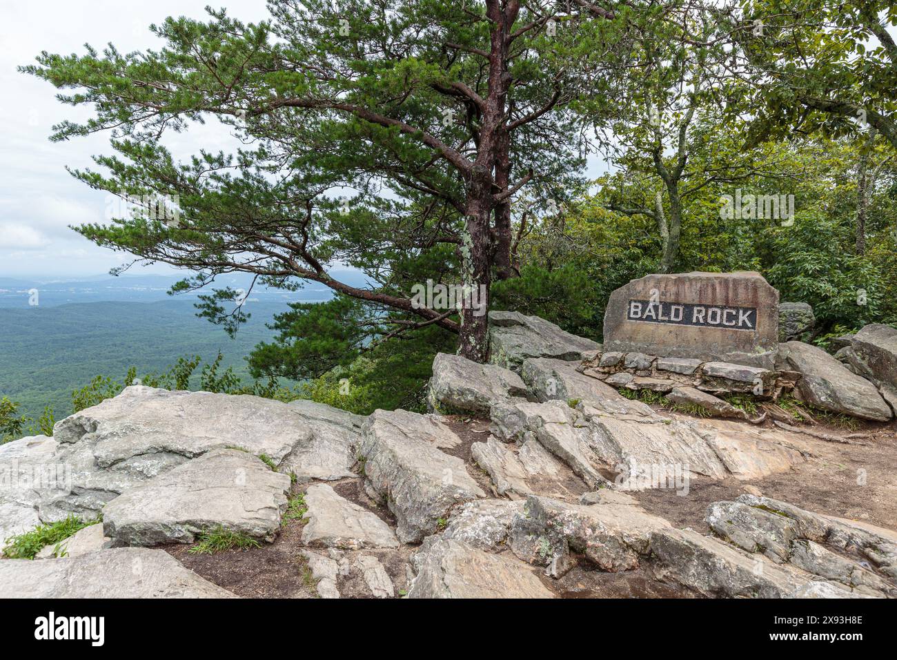 Blick auf den bald Rock Trail im Cheaha State Park, Alabama, USA Stockfoto