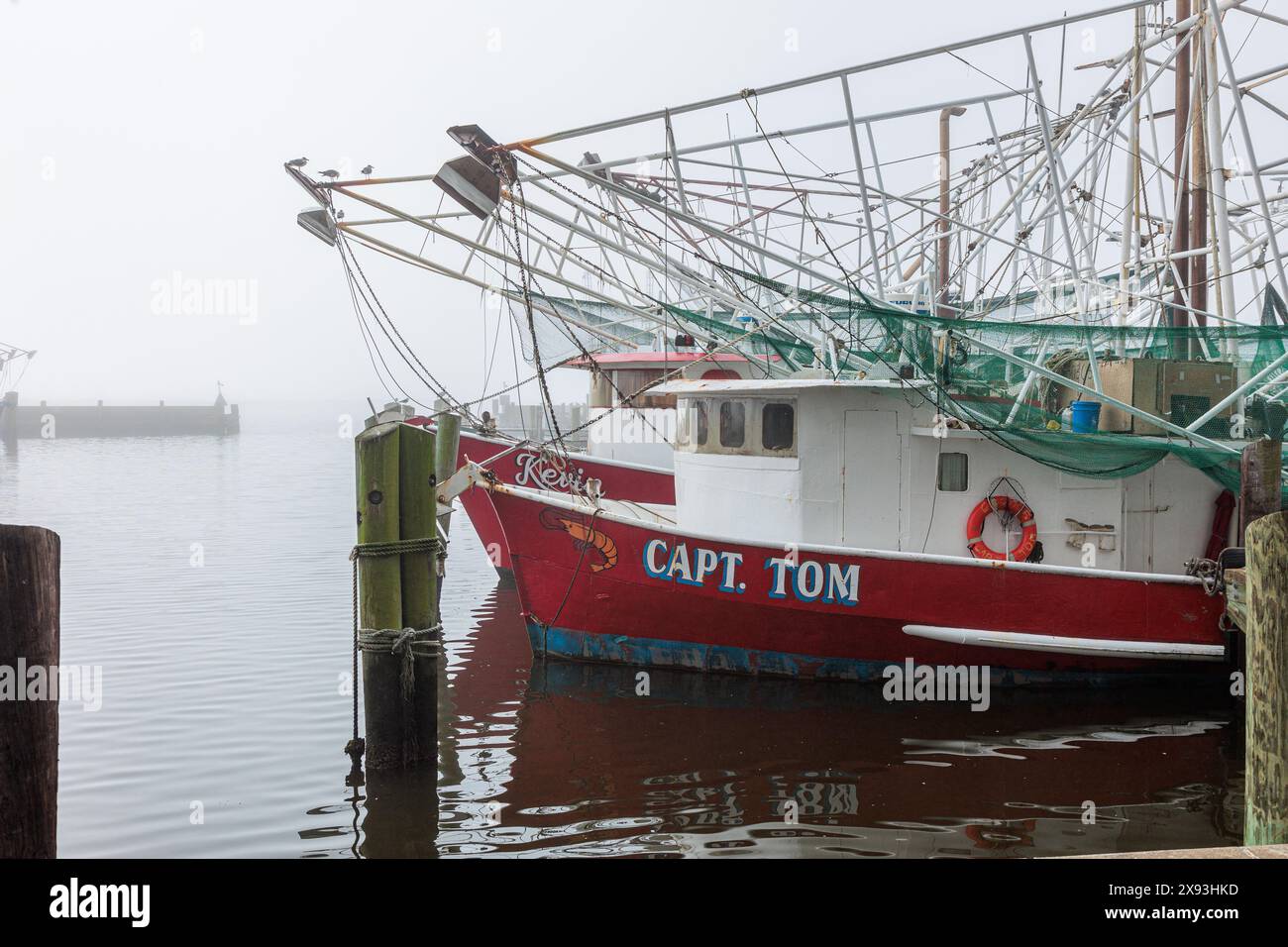 Kommerzielle Garnelenboote am Dock im Gewerbegebiet des Biloxi Small Craft Harbor in Biloxi, Mississippi Stockfoto