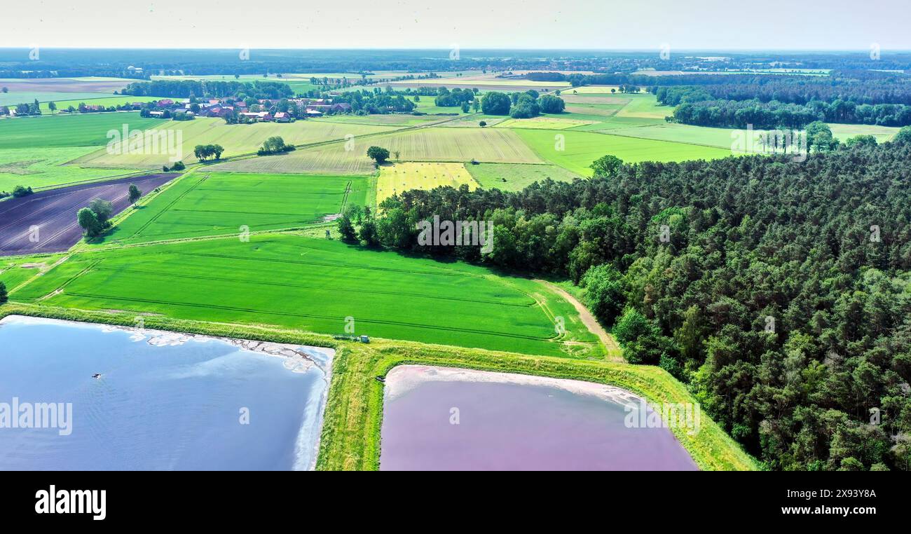 Luftaufnahme eines grünen monotonen Ackerlandes in Norddeutschland mit einem Wasserbecken im Vordergrund Stockfoto