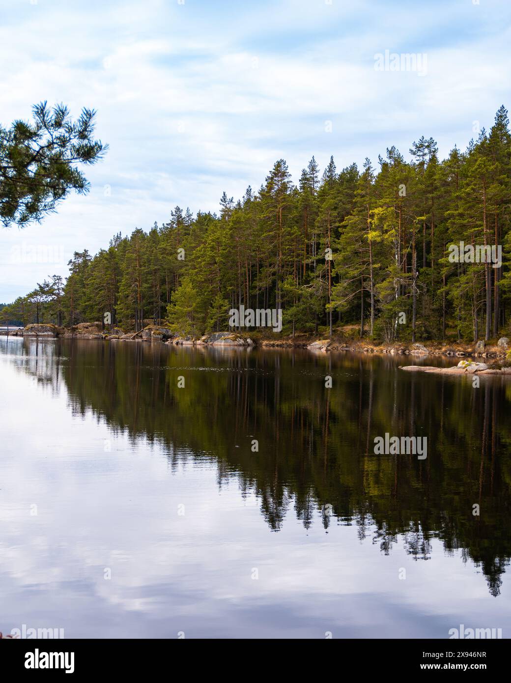 Ein ruhiger See, umgeben von einem dichten Wald, der die friedliche und malerische Schönheit der Natur einfängt. Stockfoto