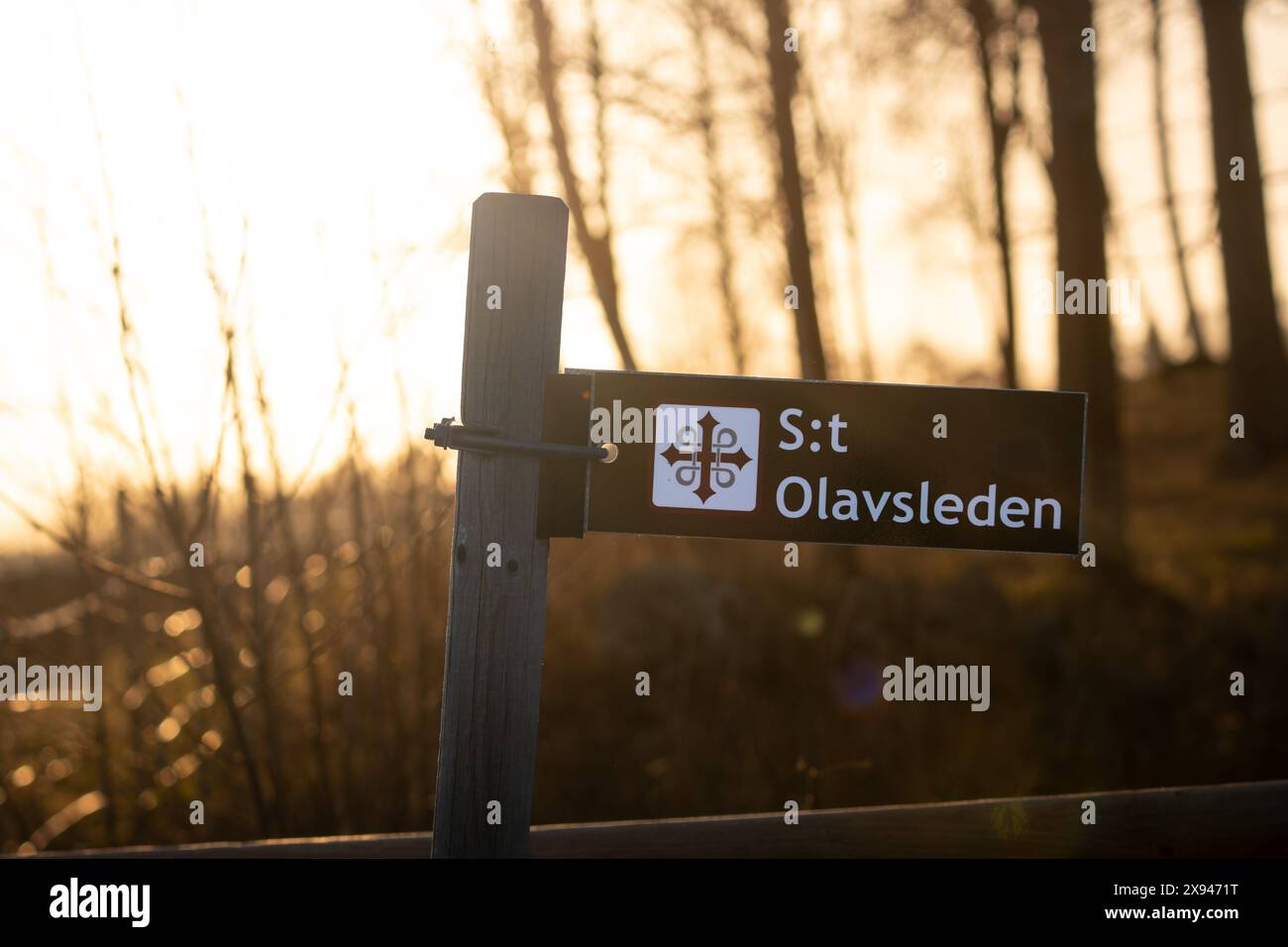 Wegweiser zum St. Olavsleden Trail bei Sonnenuntergang, der ein ruhiges und malerisches Reiseziel hervorhebt. Stockfoto