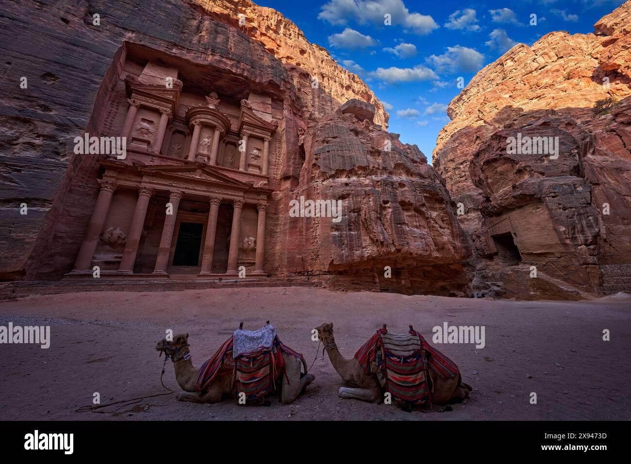 Zwei Kamel-Dromedar, Schatzkammer Al-Khazneh, Steinfelsen, historisches Petra. Reisen Sie Jordanien, Arabien Urlaub. Abendlicht in der Natur, Jordan. Steinfelsenrot La Stockfoto