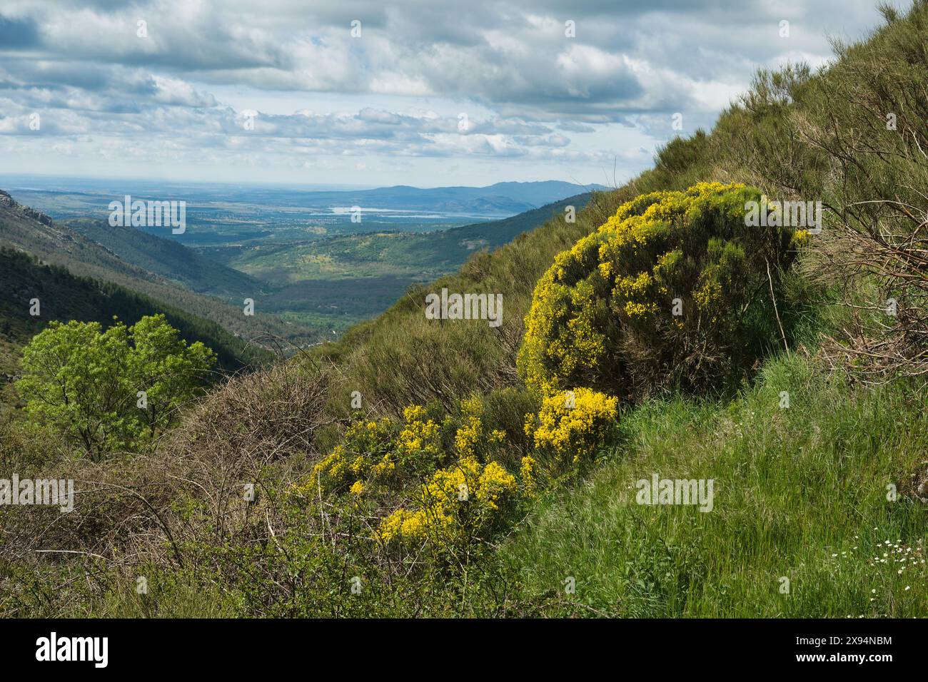 Frühlingsberglandschaft an einem sonnigen klaren Tag in der sierra de guadarrama in der Nähe von madrid in spanien Stockfoto