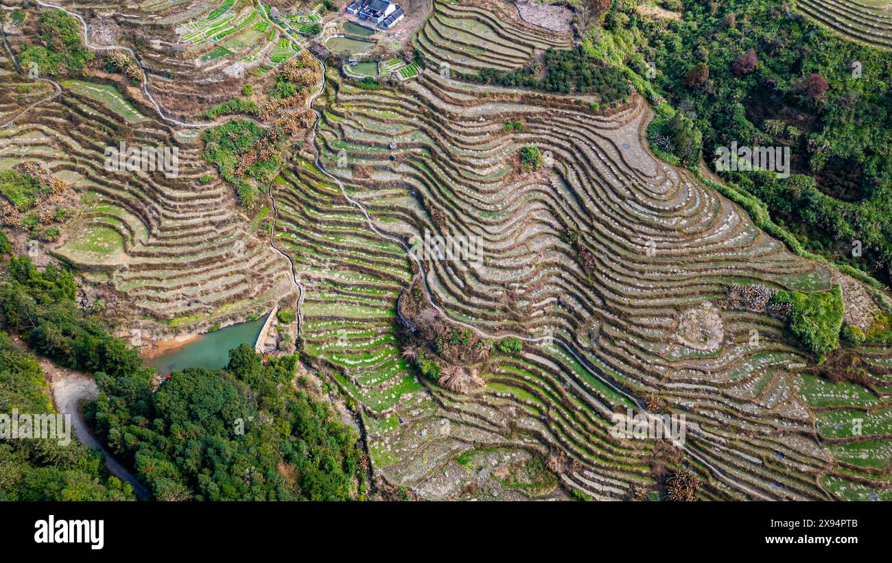 Reisterrassen rund um Tianluokeng, UNESCO-Weltkulturerbe, Fujian Tulou, ländliche Wohnsiedlung der Hakka, Fujian, China, Asien Stockfoto