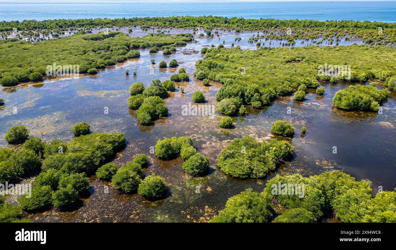 Aus der Luft der Sümpfe der Insel Grande Santa Cruz, Zamboanga, Mindanao, Philippinen, Südostasien, Asien Stockfoto