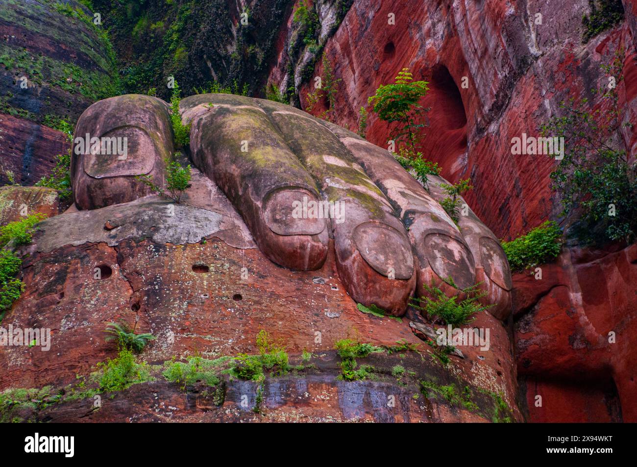 Leshan Giant Buddha, der größte Stein-Buddha der Erde, das Landschaftsgebiet des Mount Emei, UNESCO-Weltkulturerbe, Leshan, Sichuan, China, Asien Stockfoto