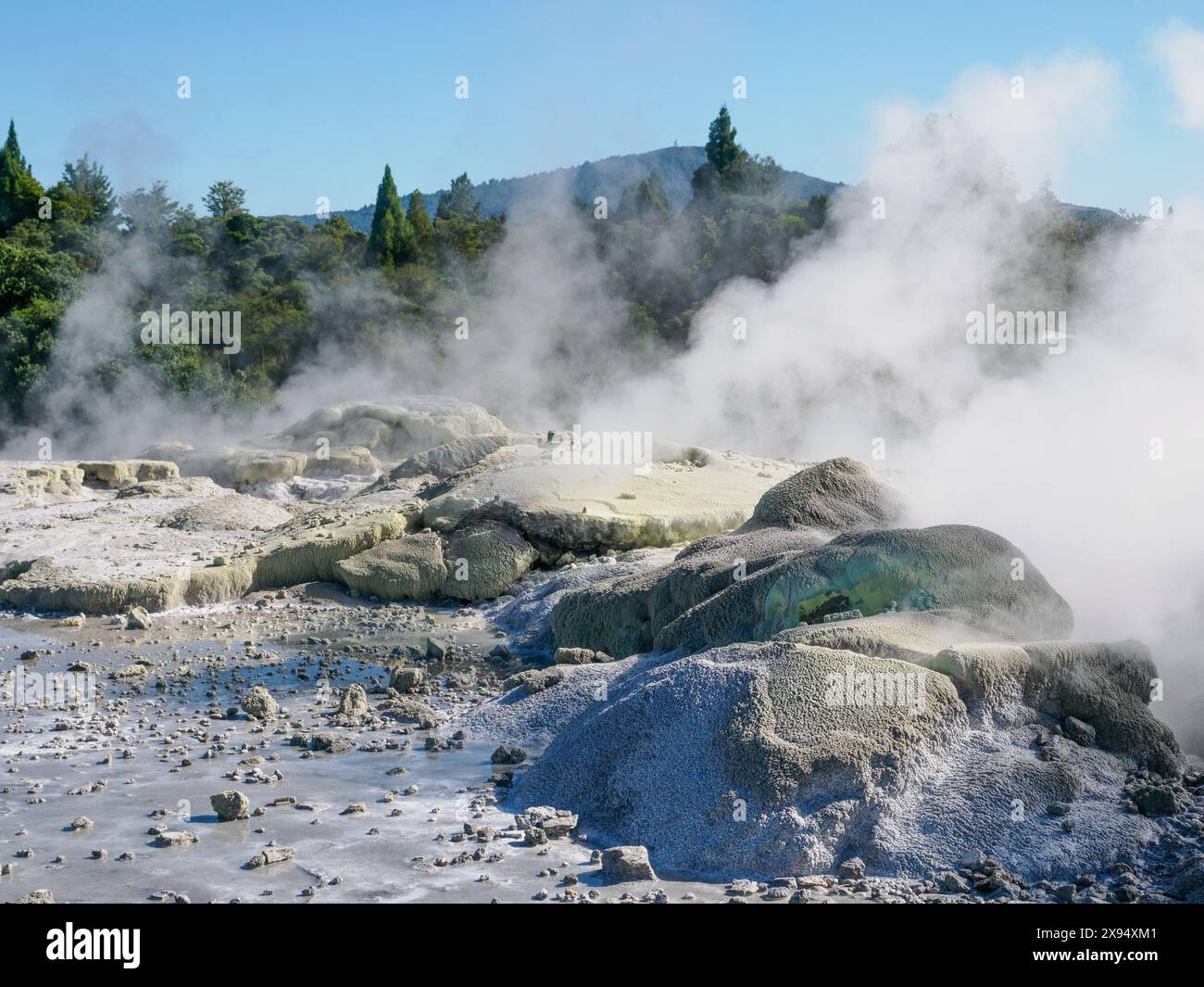 Schwefelhaltige Ablässe im geothermischen Bereich von Te Puia, Gisborne District, Nordinsel, Neuseeland, Pazifik Stockfoto