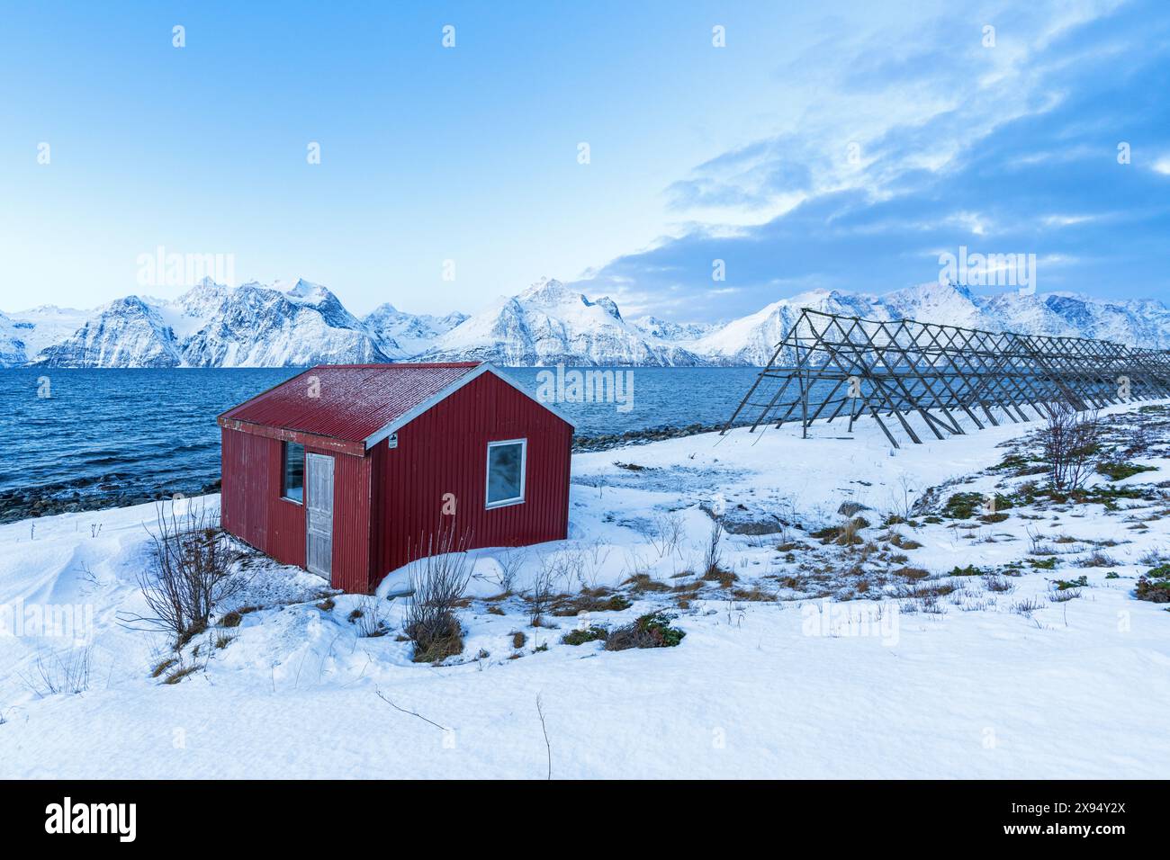 Einsamer roter typischer Rorbu in der schneebedeckten arktischen Landschaft am Fjord bei Sonnenaufgang, Djupvik, Olderdalen, Lyngenfjord, Lyngenalpen, Troms og Finnmark, Norwegen Stockfoto