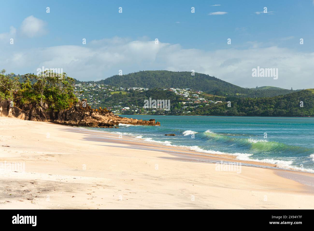 Unberührter weißer Strand und türkisfarbenes Wasser am Cooks Beach in der Nähe von Whitianga, Coromandel Peninsula, Nordinsel, Neuseeland, Pazifik Stockfoto
