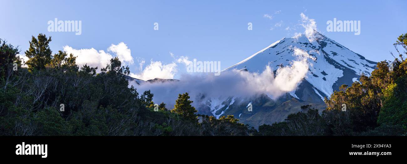Panoramablick auf Mount Taraniki, verschneiten Vulkangipfel mit blauem Himmel und Wald am Abend, Nordinsel, Neuseeland, Pazifik Stockfoto