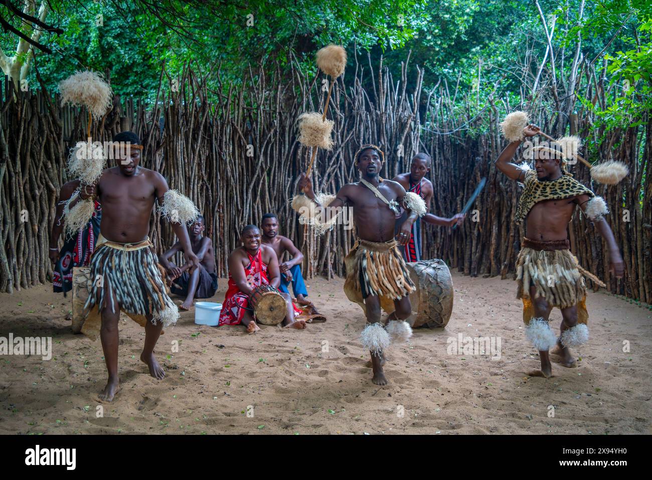 Blick auf traditionellen Zulu-Tanz und Musik im Ghost Mountain Inn, Mkuze, Provinz KwaZulu-Natal, Südafrika, Afrika Stockfoto