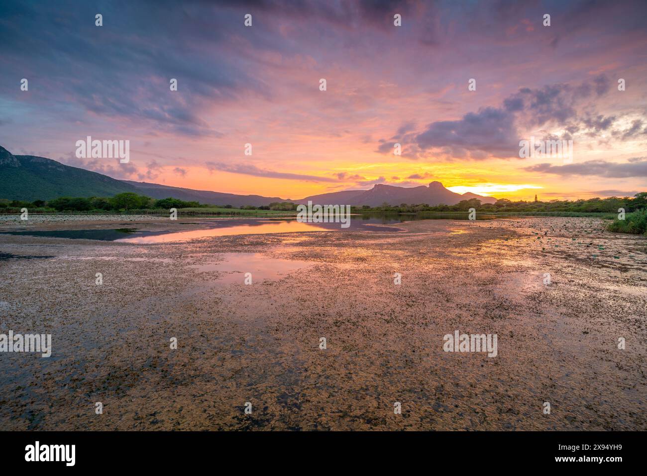 Blick auf Jet Lake und Ubombo Mountain vom Ghost Mountain Inn bei Sonnenaufgang, Mkuze, Provinz KwaZulu-Natal, Südafrika, Afrika Stockfoto