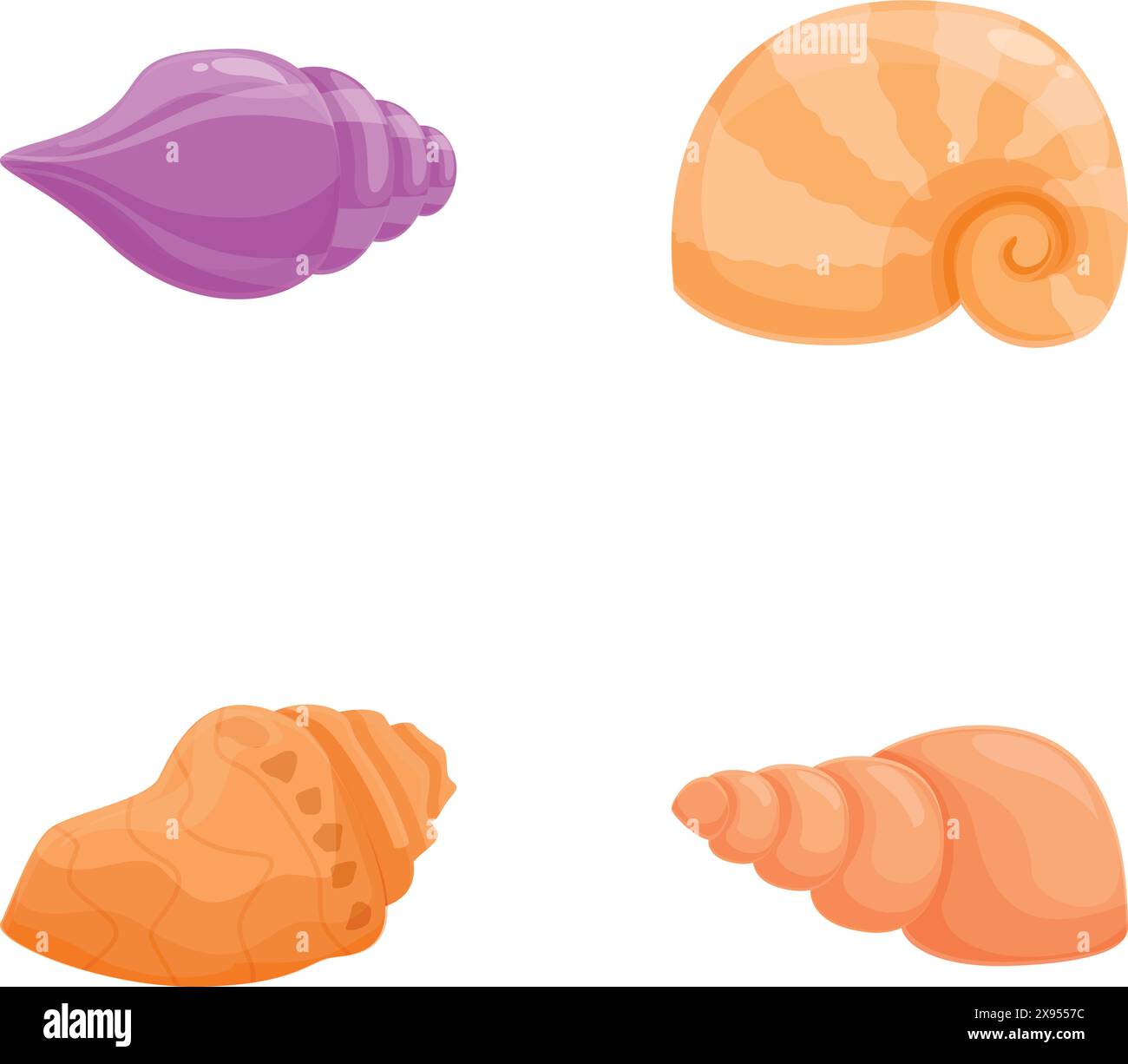Lebendige Sammlung von vier Muschelabbildungen im Cartoonstil, isoliert auf weißem Hintergrund Stock Vektor