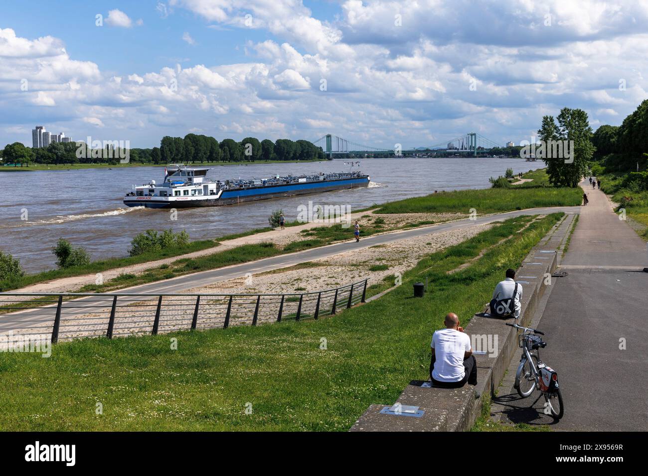 Rheinufer bei Oberlaender Werft, im Hintergrund die Rodenkirchener Brücke, Köln. Rheinufer an der Oberlaender Werft, im H Stockfoto