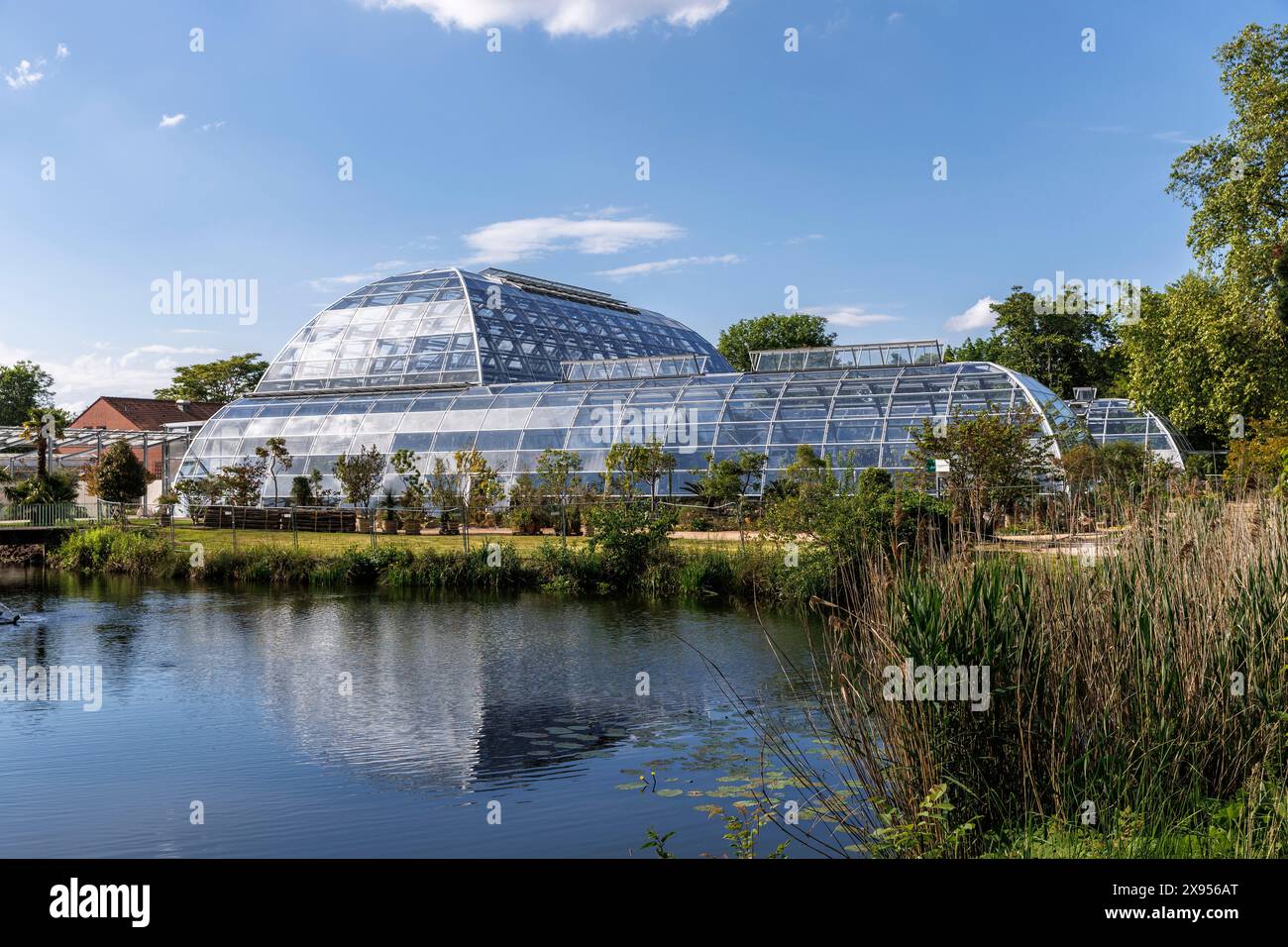 Die neuen Gewächshäuser der Flora, Botanischer Garten, Köln, Deutschland. Die neue Schaugewaechshaeuser der Flora, Botanischer Garten, Köln, Deutschland Stockfoto