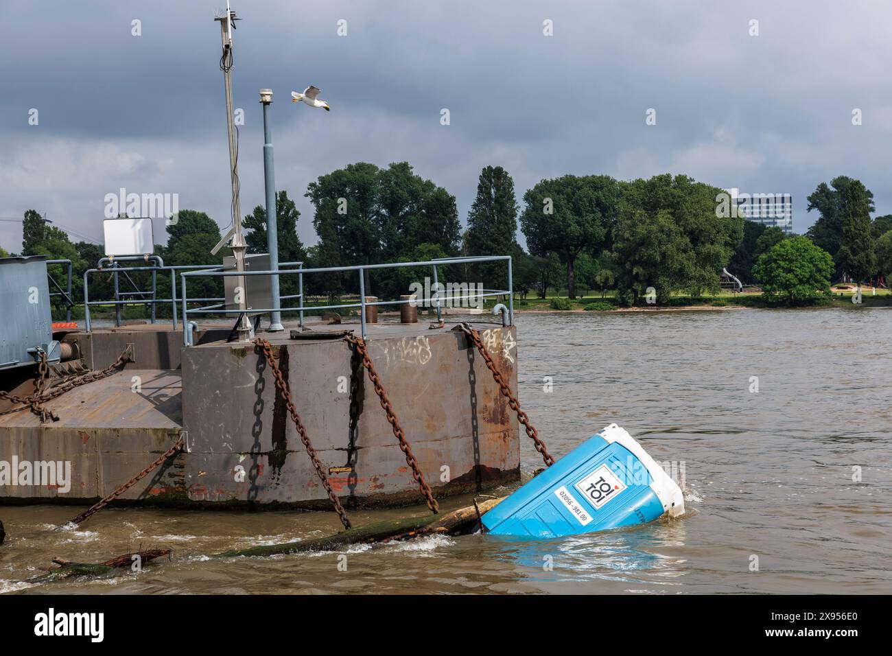 Eine mobile Toilette schwimmt auf einer Anlegestelle im Rhein, Köln, Deutschland. 15.02.2024 eine Dixi Toilette treibt an einem Schiffsanleger im Rhein, Köln, Deutsc Stockfoto