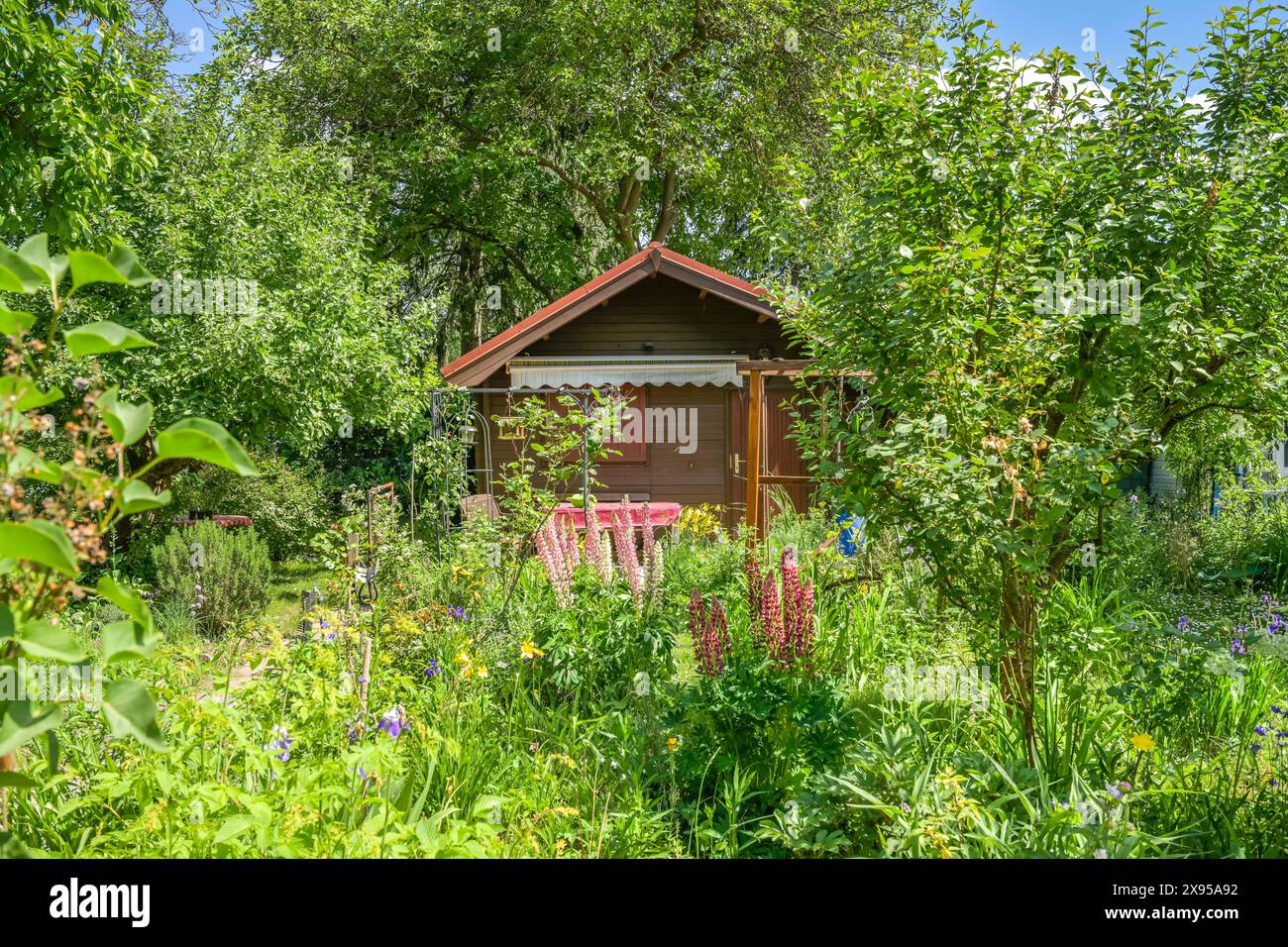 Kleingarten in den Kolonien Priesterweg / Grazer Damm, Schöneberg, Tempelhof-Schöneberg, Berlin, Deutschland, Kleingarten in den Kolonien am Pries Stockfoto