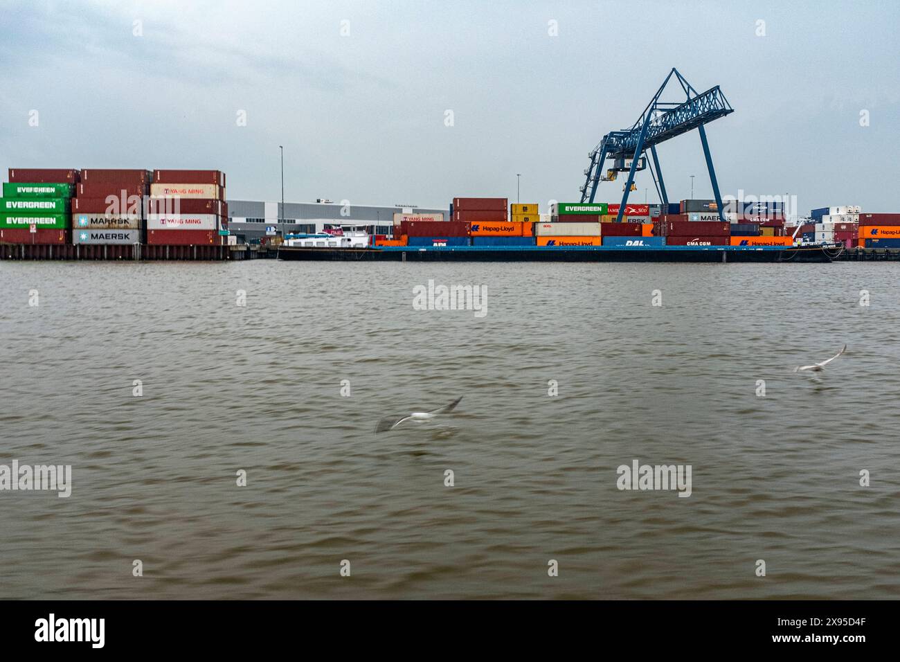 Inland Container Terminal Inland Container Terminal am Nieuwe Maas River bei Ridderkerk, Niederlande. Ridderkerk Nieuwe Maas Zuid-Holland Nederland Copyright: XGuidoxKoppesxPhotox Stockfoto