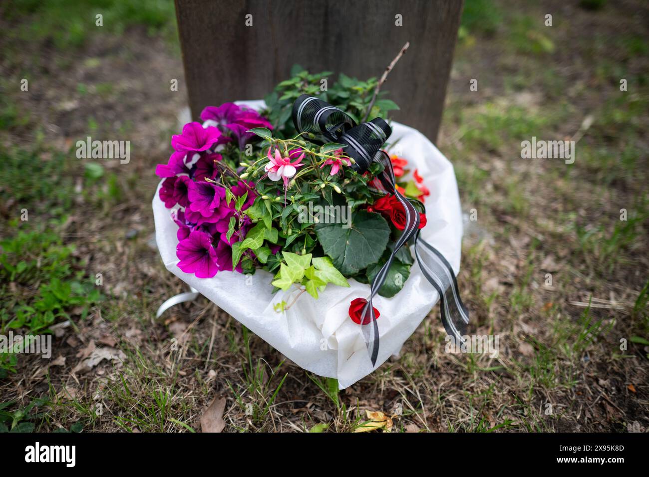 Trebbin, Deutschland. Mai 2024. Ein Blumenstrauß mit Trauerblumen steht auf dem Orazio Giamblanco-Platz. Giamblanco wurde 1996 in Trebbin von einem Skinhead schwer verletzt. Seither litt er unter spastischer Lähmung und konnte nur schwer sprechen. Er starb am Montagabend im Alter von 83 Jahren. Quelle: Sebastian Gollnow/dpa/Alamy Live News Stockfoto