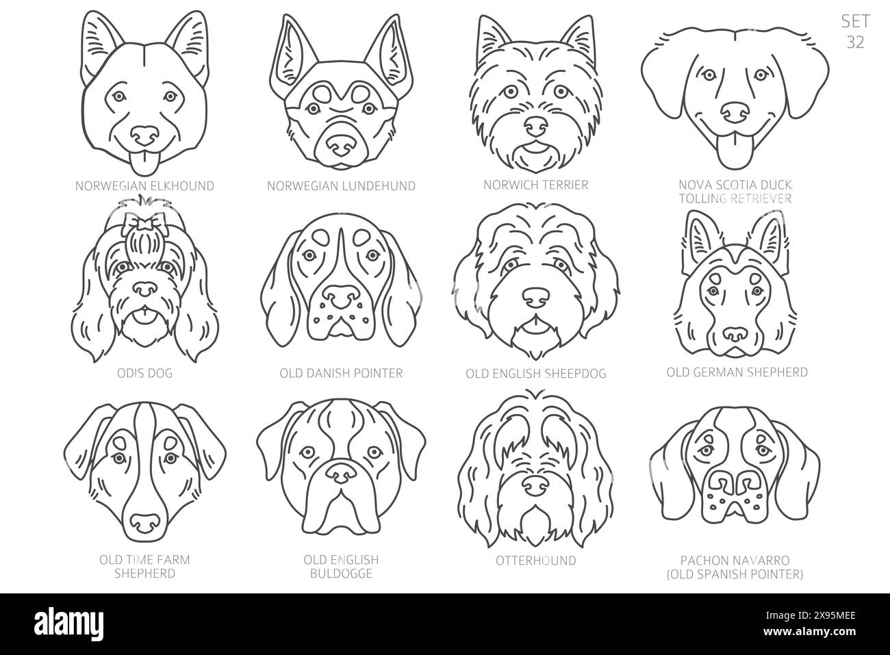 Hundekopf-Silhouetten in alphabetischer Reihenfolge. Alle Hunderassen. Einfaches Linienvektordesign. Vektorabbildung Stock Vektor