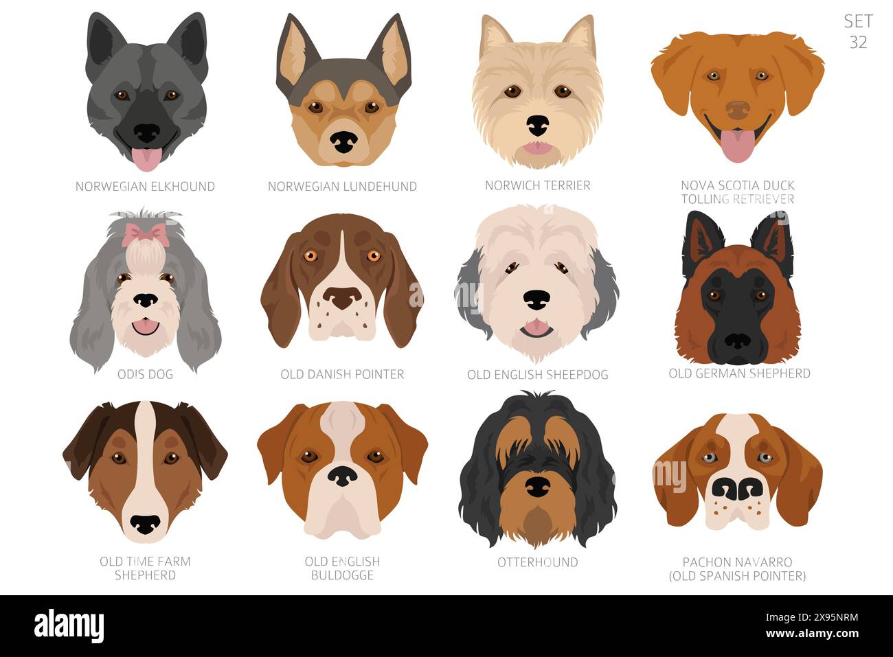 Hundekopf in alphabetischer Reihenfolge. Alle Hunderassen. Farbvektordesign. Vektorabbildung Stock Vektor