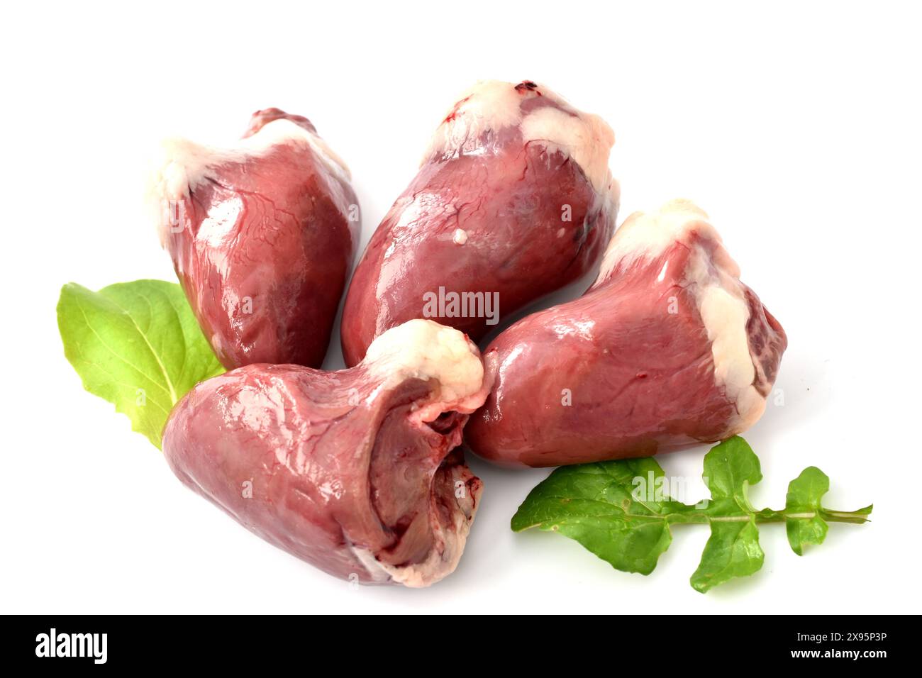 Mehrere truthahnherzen, bereit zum Kochen, liegen auf einem Stapel. Stockfoto