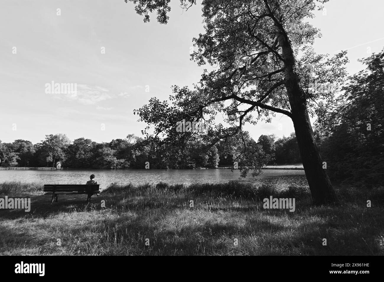 Entspannen Sie auf der Bank unter einem wunderschönen Baum im Park des fantastischen Schlosses Nymphenburg in München, Deutschland. Schwarzweißbild. Stockfoto