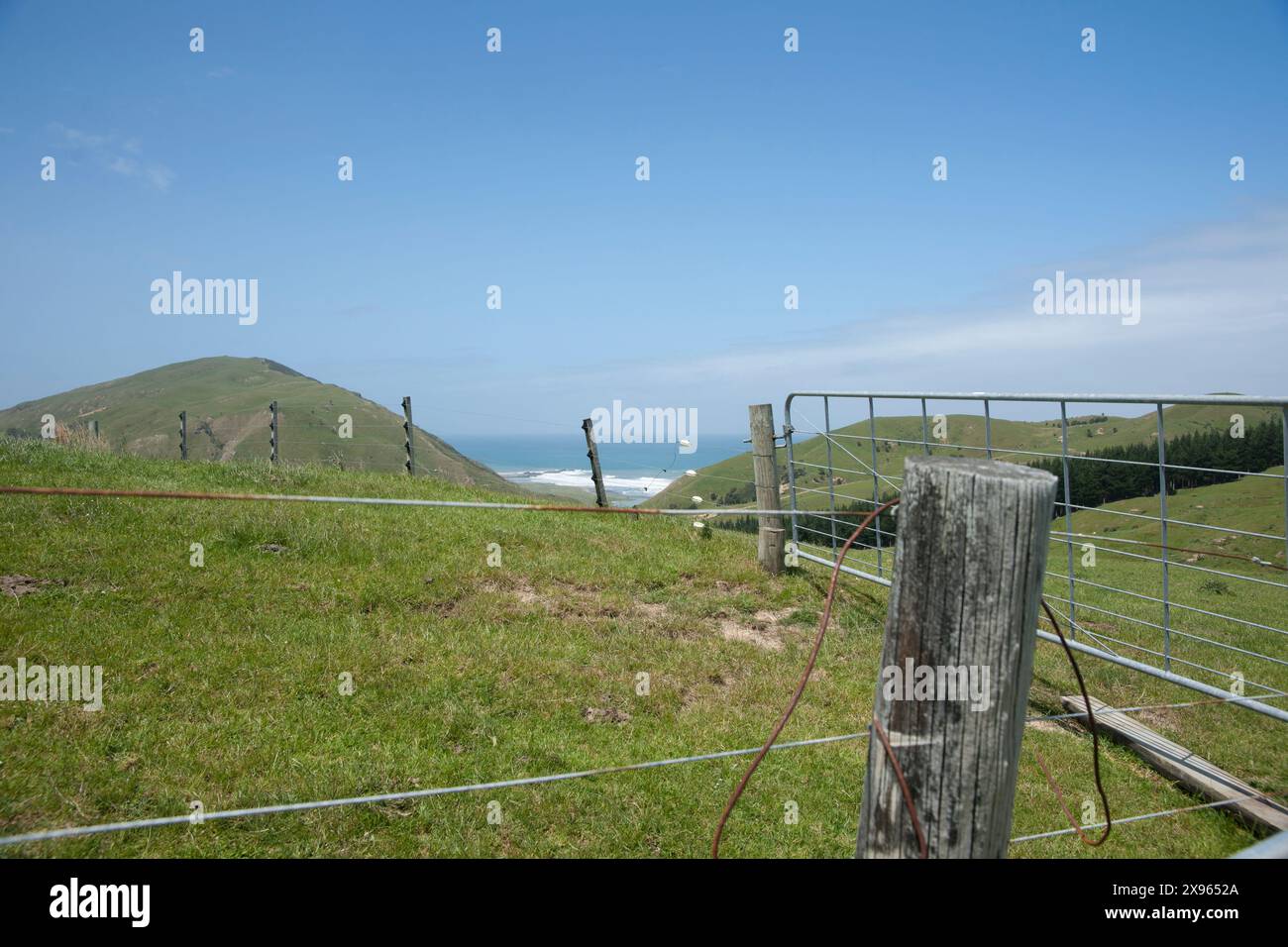 Tor und Zaun auf der Spitze des Hügels mit Blick vorbei an Forstwirtschaft bis zur Küste von Wairarapa. Neuseeland. Stockfoto