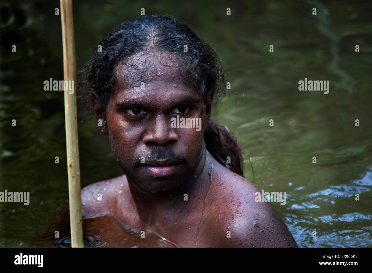 Aborigines Yolngu man in Billabong, Nyinyikay Homeland, East Arnhem Land, Northern Territory, Australien, Pazifik Stockfoto