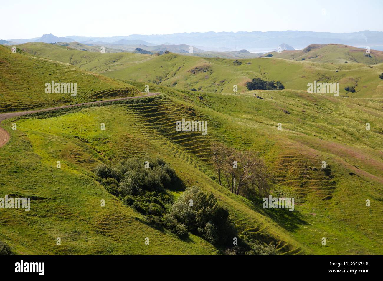 Kalifornische Landschaft mit Blick auf die Green Valley Road (46), USA Stockfoto