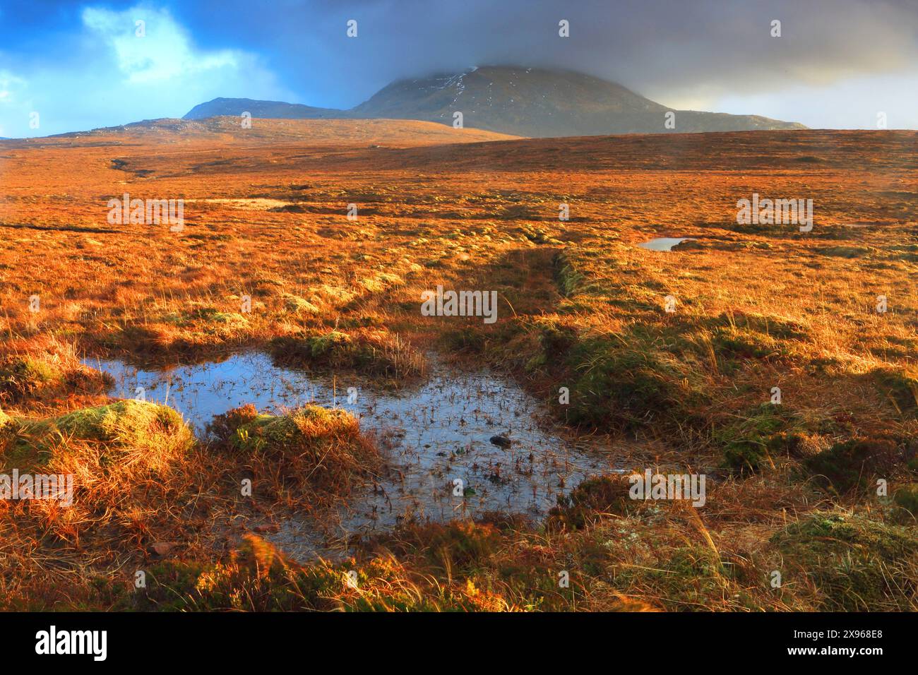 Moorland und Berge des nördlichen Sutherlands im Winter, Highlands, Schottland, Vereinigtes Königreich, Europa Stockfoto