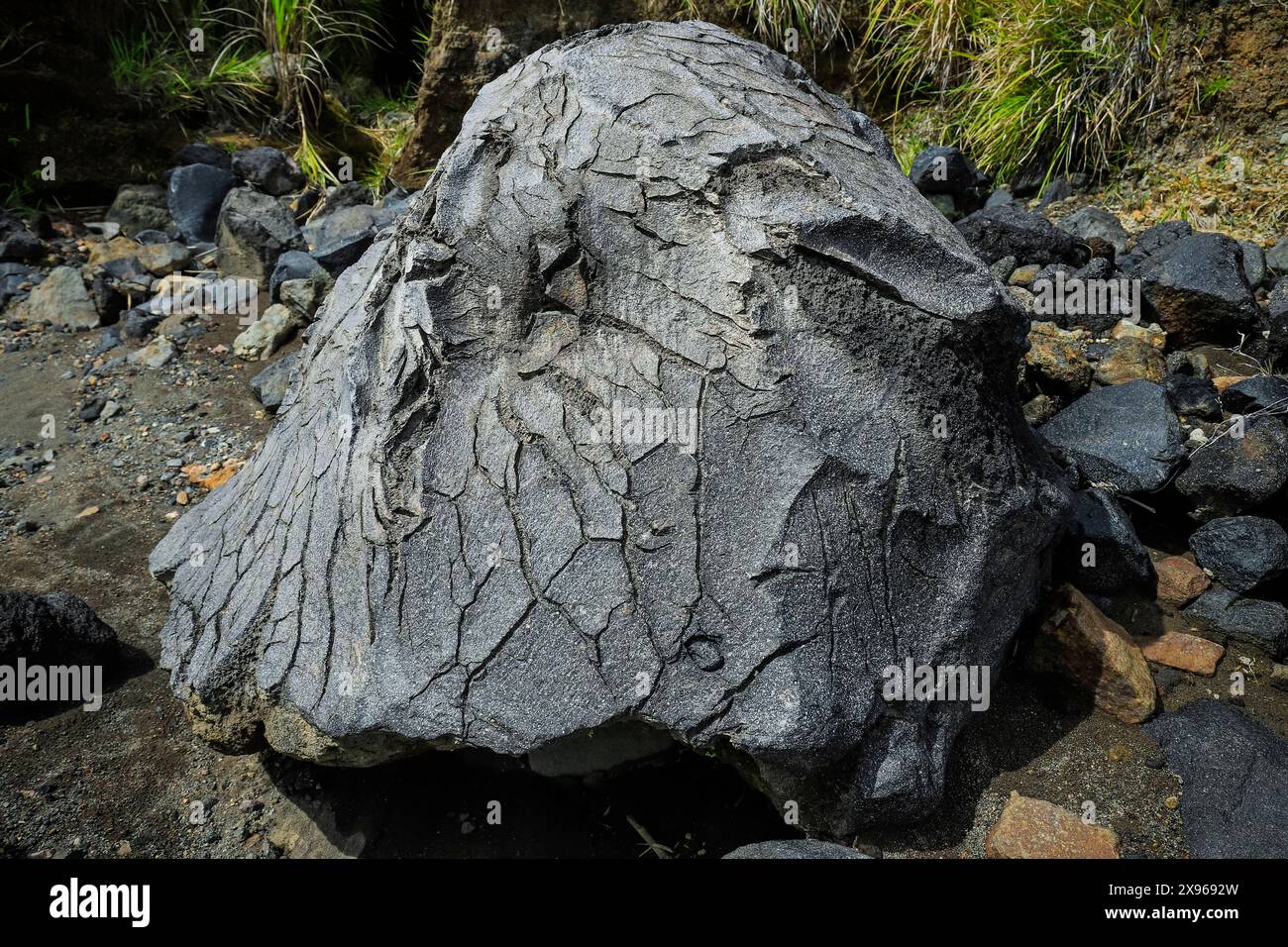 Stressrisse in der Haut einer großen gefallenen Lavabombe in der Nähe des Mount Lokon, eines aktiven Stratovulkans, in der Nähe von Tomohon City, Gunung Lokon, Tomohon Stockfoto