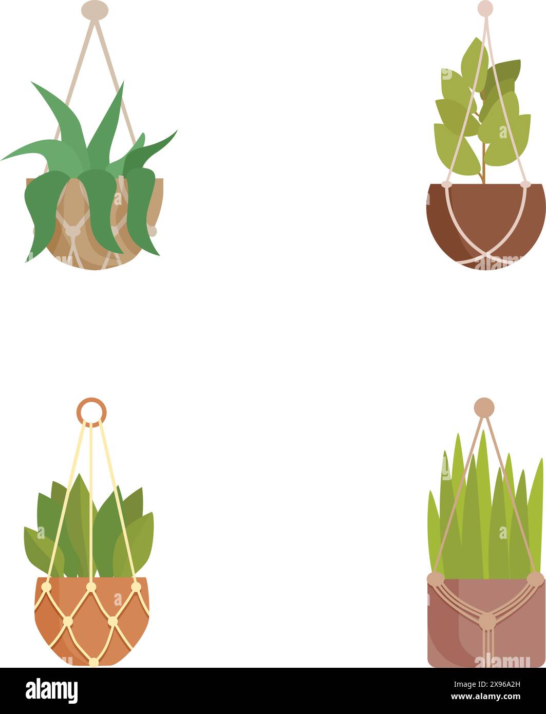 Sammlung von vier Vektorillustrationen von hängenden Pflanzen im Innenbereich, perfekt für Wohnmotive Stock Vektor